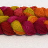 Polwarth Wool Roving - Sunset
