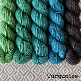 Simply Sock 5-Pack Mini Skeins in Turquoise Semi Solid
